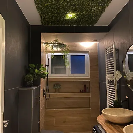 Climatise Premier Etage Lyon Eurexpo
