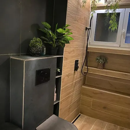 Climatise Premier Etage Lyon Eurexpo Lejlighed *