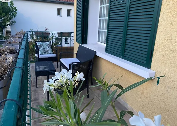 Appartement Climatise Premier Etage Lyon Bron Eurexpo *